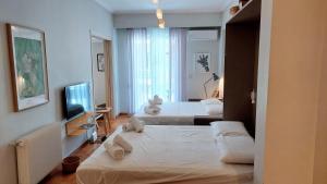 Stylish apartment in Acropolis