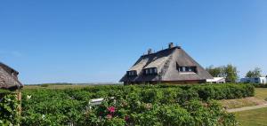 Kliffblick am Watt