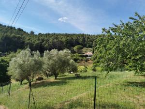 Villas Le Loriot : photos des chambres
