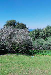 Appartamenti Hopfen Lazise