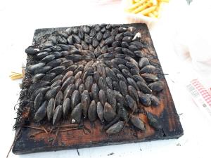 Maisons de vacances Jetez l-ancre, gite La Tremblade : photos des chambres