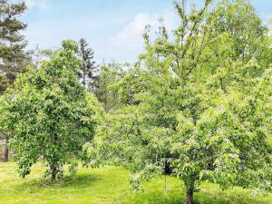 4 star holiday home in VÄDDÖ-By Traum