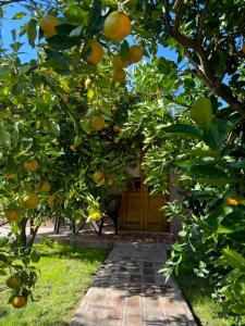 Tanah Host - Casa de Huespedes