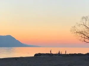 Petit Paradis - Clarens