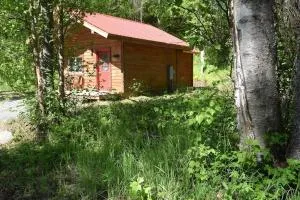Birch Cabin - Skwentna