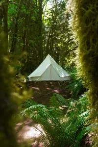 Wander Camp Olympic - Ovington