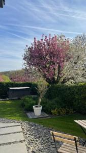 GP - F1 FRANCORCHAMPS - 2 Chambres