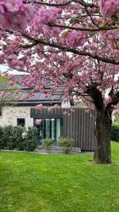 GP - F1 FRANCORCHAMPS - 2 Chambres - Trooz