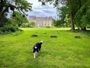 B&B / Chambres d'hotes Chateau de Courtry : photos des chambres