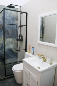 Cluj Downtown Accomodation