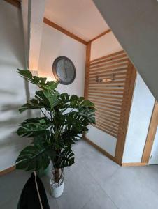 Appartements Evasion Verte en Alsace ! : photos des chambres