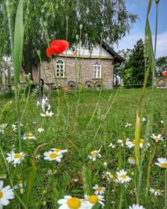 Tetrebov salas in the peaceful fields