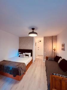 Hércules Nuevo y Moderno Estudio