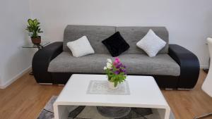 3- Zimmer-Wohnung in Linz Leonding