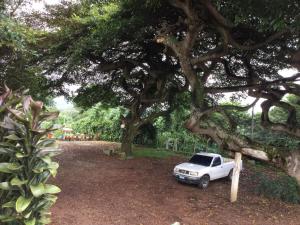 San Antonio Hotel Boutique