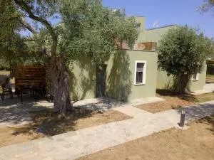 The Thassian Yard Houses - Skala Prinos