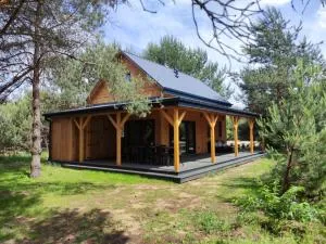 GOOD PLACE nad Jeziorem Białym - 戈斯蒂宁