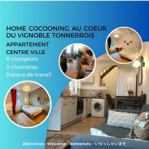 Appartement au coeur du vignoble tonnerrois - 托内尔