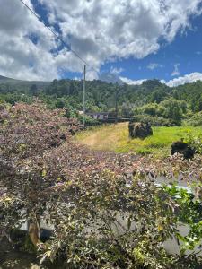 Residências Requinte