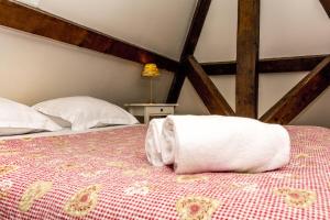 Maisons de vacances Charmant Moulin Spa : photos des chambres