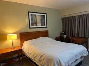 Schell Motel