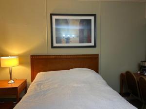 Schell Motel
