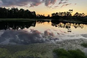 Fox Hunt I - Golf Course Views - Pebble Creek