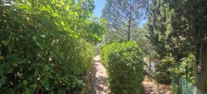 Appartements Apartment with garden in Sainte-Maxime : photos des chambres