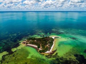 Space brings us closer to art - Casa Imox