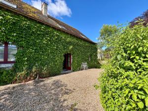 Maisons de vacances Gites Renoves avec Piscine au Coeur de la Brenne – Proche Sites Naturels et Historiques - FR-1-591-327 : photos des chambres