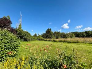 Maisons de vacances Gites Renoves avec Piscine au Coeur de la Brenne – Proche Sites Naturels et Historiques - FR-1-591-327 : photos des chambres
