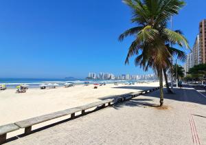 Lindo Apto - Completo - Praia Pitangueiras -