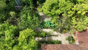 Cung Đàn Xưa Homestay