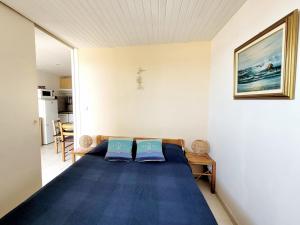 Canet-en-Roussillon T2, 4 pers, Clim, face mer - FR-1-794-106