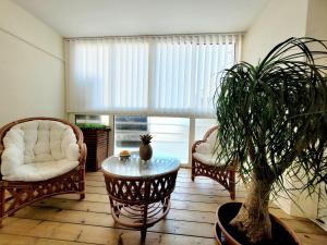 Appartements Canet-en-Roussillon - Superbe T3 Moderne 4 pers avec Climatisation et Parking - FR-1-794-122 : photos des chambres