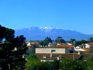 Canet-en-Roussillon - T2 moderne - Accès plage - Parking privé - FR-1-794-120