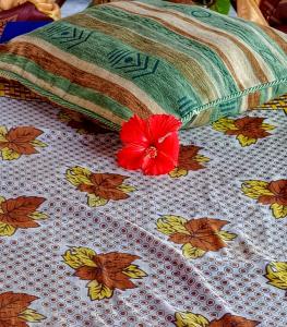 Polly Lodge Bungalow Zanzibar Kiwengwa