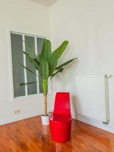 Maison ou Chambre