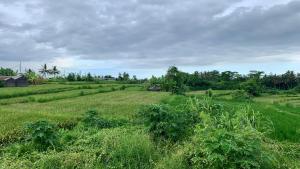 Peaceful 2BR Bali-Based Home for Families & Friends