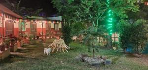 Passion Nepal Eco Lodge