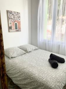 Appartements Le Briguiboul : Appartement 1 Chambre