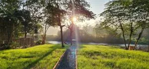 Seven 50s - Ban Phaem Klang