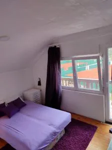 Kursumlijska banja apartman 4+1 - Obranža