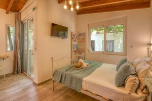 Vitis Vinifera Tranditional Studio Apartment