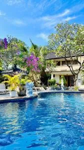 普里巴厘岛酒店 - Banjar