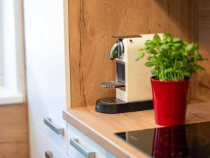 Present apartment in Fusch