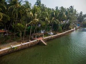 Rio De talpona - Polem