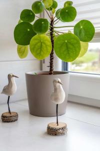 Knusthof Lafrenz - West