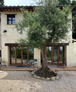 La Tana del Grifo - Podere Amodeo - Dolciano