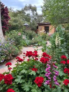 Patricias Garden Studio - Witchcliffe